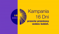 article 16-Dni-Przeciw-Przemocy-Wobec-Kobiet